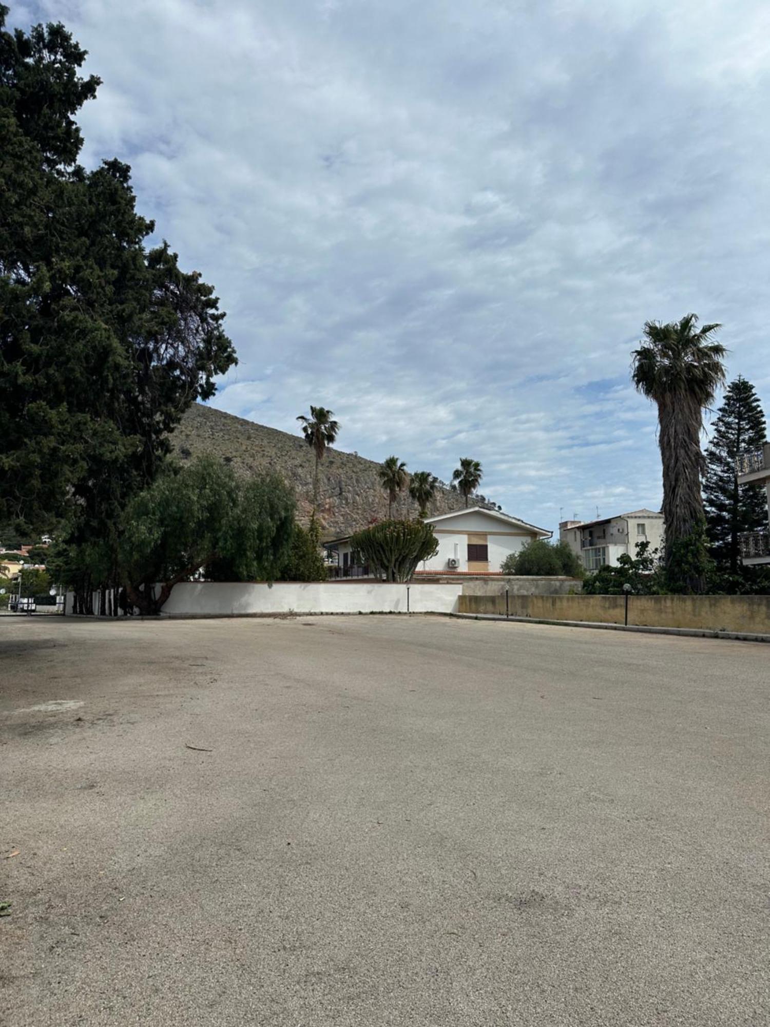 Sara Mondello Garden Level
